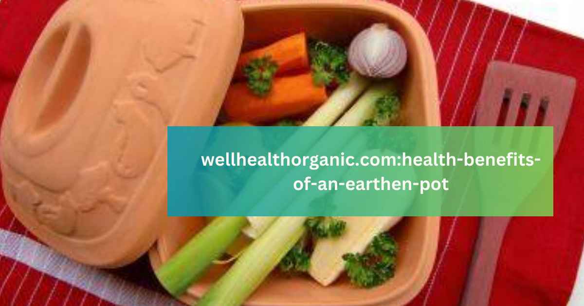 wellhealthorganic.comhealth-benefits-of-an-earthen-pot