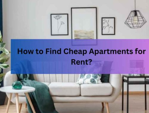 How to Find Cheap Apartments for Rent