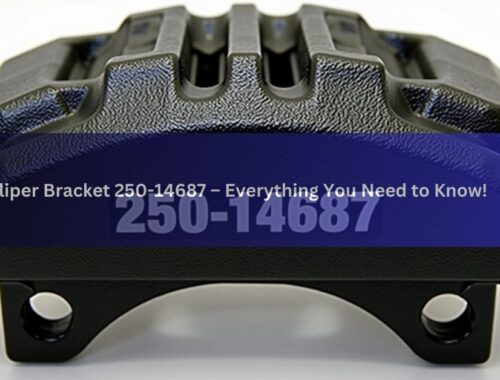 Caliper Bracket 250-14687